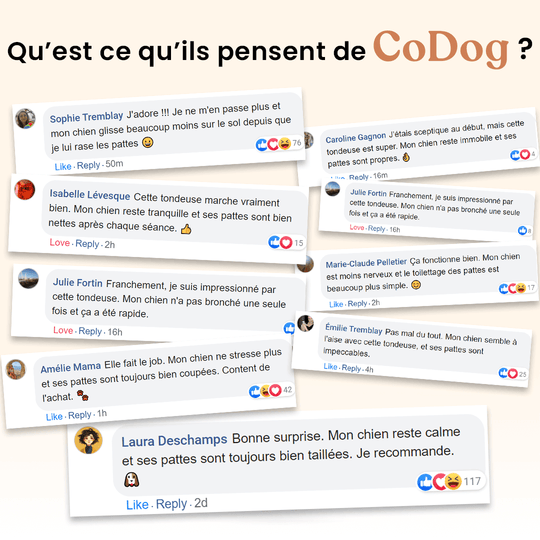 La CoDog Pro™ (Nouvelle version)